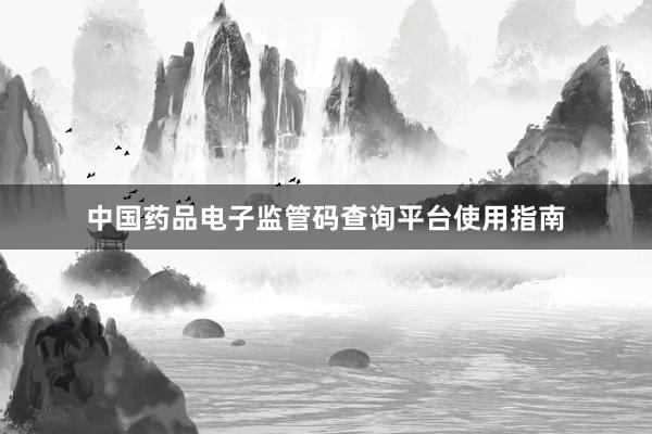 中国药品电子监管码查询平台使用指南