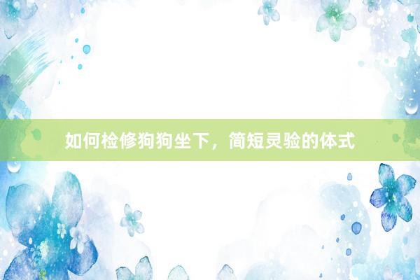 如何检修狗狗坐下，简短灵验的体式